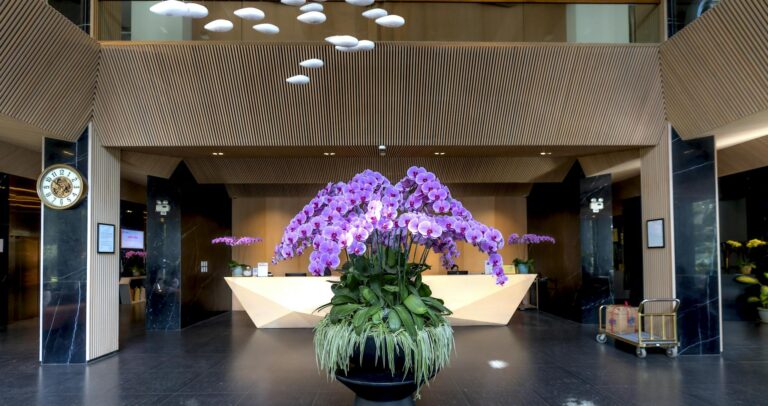 Elegant hotel lobby featuring a vibrant orchid centerpiece on modern reception desk.